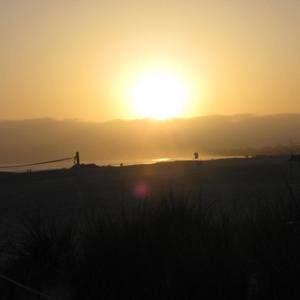 Meet your Posher, Chanelle